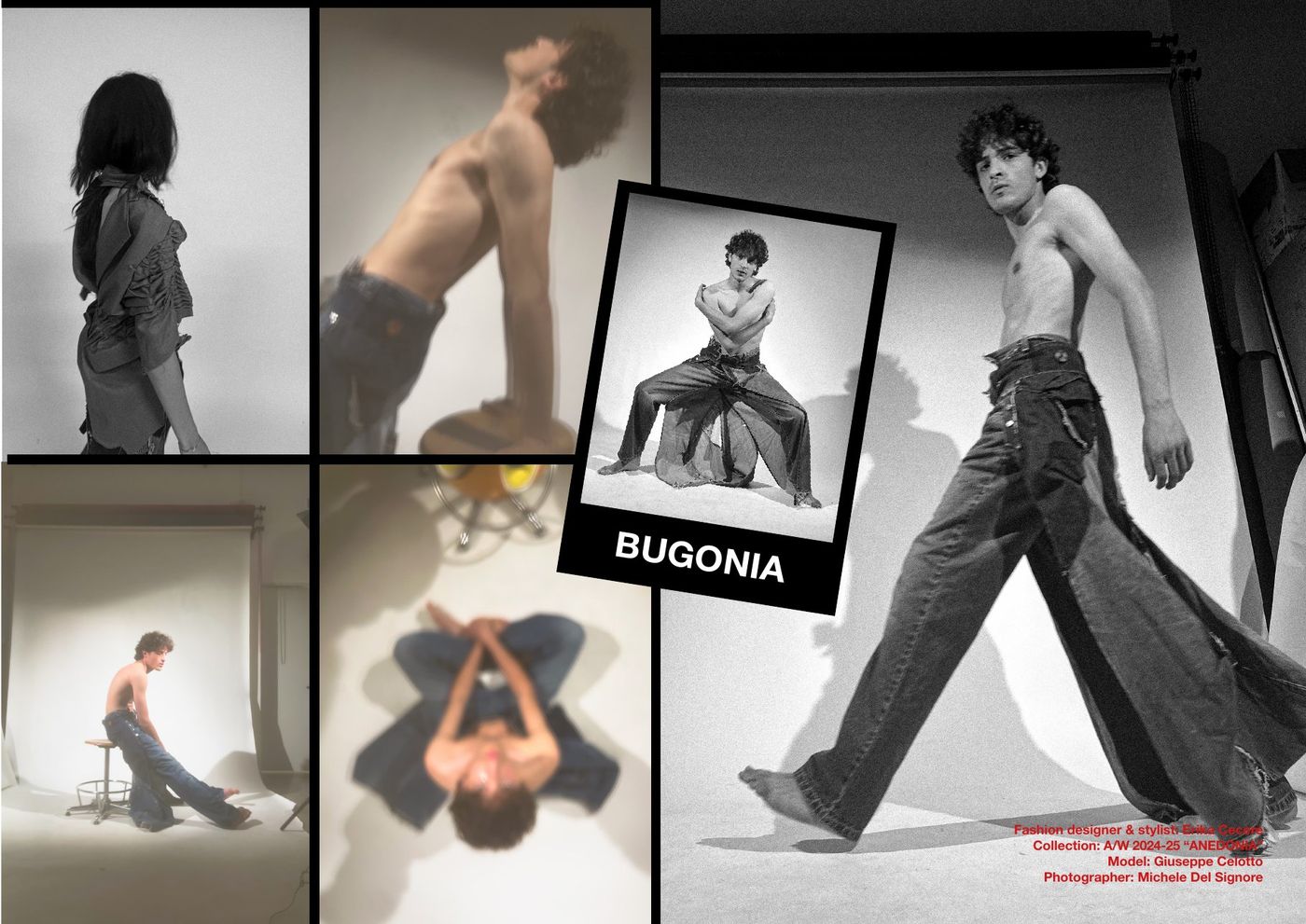 Black and white editorial titled Bugonia